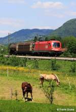 Ein Stier mit 2 Wagen und 2 zus�tzlichen Pferdest�rken! -->   �BB 1016 047-1 mit �berf�hrung Richtung Kufstein, KBS 950 M�nchen - Kufstein, fotografiert bei Fischbach am Inn am 14.05.2012