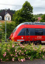 Mal ein etwas anderes Bahnbild mit Buschrosen vor dem Motiv.
Wieder auf Dienst-/Leerfahrt von Siegen nach Aachen, die beiden gekuppelten vierteiligen Talent 2 der DB Regio NRW 442 258 / 442 758 und 442 761 / 442 261 durchfahren am 21 Juni 2024 den Bahnhof Kirchen/Sieg.

