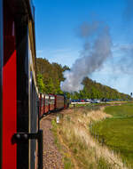 Unterwegs mit dem „Molli“, die 99 2322-8 der Mecklenburgischen Bäderbahn Molli zieht den „Molli“ (MBB Dampfzug) am 15 Mai 2022 von Kühlungsborn West via Heiligendamm nach Bad Doberan, hier bei Fulgen (Kühlungsborn Ost).