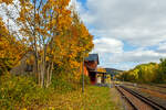 Es ist Herbst, auch beim Bahnhof Herdorf, hier am 14 Oktober 2025 in Blickrichtung Neunkirchen/Siegerland.