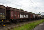 Zweiachsiger großräumiger Schiebewandwagen (Gedeckter Wagen in Sonderbauart), 21 80 2458 594-3 D-DB der Gattung Hbbillns 315 (ex 305) der DB Cargo AG, am 21 Mai 2024 im Zugverband bei einer
