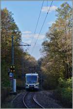 Im Wald zwischen der Rio Graglia Schlucht und Verigo konnte ich den SSIF ABe 4/6 No 62 fotogarfieren, der Zug 157 mit Halt auf Verlangen praktisch alle Station bis Camedo bedient  und dann als