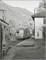 Wie in alten Zeiten...
Verigo, den 31.10.2024