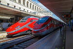 Spieglein an der Wand, wer ist der schönste im Land....

Im Bahnhof Roma Termini stehen am 13.07.2022, hinten der ETR.600.11 als Trenitalia Frecciargento (in Frecciarossa Lackierung) nach Trieste Centrale und vorne der ETR.400.13 als Frecciarossa 1000 nach Napoli Centrale. 

In dieser Frecciarossa Lackierung gefällt mir der ETR 600 bald besser als der ETR 400. Wobei der ETR 400 mit einer Höchstgeschwindigkeit von 300 km/h, anstatt der 250 km/h des ETR 600, der schnellere ist. Wobei mir hier nicht ganz klar ist warum der ETR 600 hier nun die Frecciarossa Lackierung hat, denn die Lackierung zeigte die möglichen Höchstgeschwindigkeiten an.

Le Frecce („die Pfeile“) bezeichnet drei italienische Zuggattungen von Hochgeschwindigkeitszügen, die aus der Marke Eurostar Italia hervorgegangen sind. Betreiber ist die staatliche Trenitalia (zur Gruppo FS). Die einzelnen Zuggattungen sind:

Frecciarossa („roter Pfeil“) ist eine Zuggattung für Züge mit einer Höchstgeschwindigkeit von 300 km/h. Eingesetzt werden ETR 400 (als Frecciarossa 1000) und ETR 500.

Frecciargento („silberner Pfeil“) ist eine Zuggattung für Züge mit einer Höchstgeschwindigkeit von 250 km/h. Eingesetzt werden Pendolino-Züge der dritten (ETR 485) und vierten (ETR 600, ETR 610) Generation, sowie der gebraucht erworbene ETR 700. 

Frecciabianca („weißer Pfeil“) ist eine Zuggattung für Züge mit einer Höchstgeschwindigkeit von 200 km/h, die nur im italienischen Gleichspannungsnetz verkehren. Die Züge werden mit Pendolino-Garnituren ETR 460, ETR 463 oder ETR 470 betrieben. Auf anderen Linien werden Triebköpfe der ersten Serie der ETR 500 oder Elektrolokomotiven des Typs E 402B mit IC-Großraumwagen eingesetzt. 
