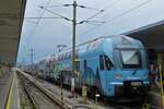Stadler Kiss Triebug 4010 628 mit Werbe Beklebung, der Westbahn steht im Westbahnhof von Wien.