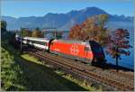 Herbst am  Kleinen See : Die SBB Re 460 043-3 mit einem IR von Brig nach Genève Aéroport kurz nach Villeneuve.