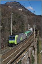 Die BLS Re 485 005-3 erreicht mit ihrer RoLa Pregila.