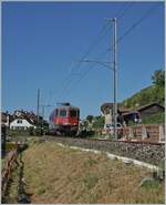 Die Tage der letzten verblieben Einspurstrecke zwischen Biel/Bienne und Lausanne sind gezählt: Bei Ligerz wird die Strecke auf Doppelspur ausgebaut, und dazu in eine Tunnel verlegt.