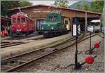 Bald beginnt die Saison 2022 der Blonay-Chamby Bahn; hier schon mal ein Vorgeschmack mit diesem Bild vom letzten Jahr mit dem RhB ABe 4/4 I 35 und der +GF+ Ge 4/4 75 in Chaulin.