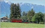 Blonay-Chamby Schweizer Dampffestival 2019: Die G 2/2 FP N° 4 fährt mit ihrem NStCM Wagen vor dem Hintergrund der Walliser und Savoyer Alpen bei Chaulin in Richtung Blonay.
