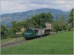 Die +GF+ Ge 4/4 75 erreicht mit ihrem Zug von Blonay kommend Chaulin.