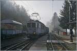La DER de la Saison 2024! Ungewohnt mysthisch zeigt sich der Bahnhof von Chaulin w�hrend die  LLB ABFe 2/4 10 der Blonay-Chamby Bahn ihren Zug nach in Blonay bereit stellt.