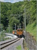 Das  Festival Suisse de la vapeur  (Schweizer Dampffestival 2025) zeigt auch immer wieder herrliche elektrische Züge.