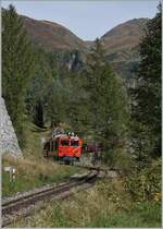 Die von der MGB übernommene Gm 4/4 61 der Dampfbahn Furka Bergstrecke folgt dem im Wald verschwindenden Dampfzug mit einem Löschwagen (im Bild nicht zu sehen) oberhalb von Oberwald. 

30. Sept. 2021