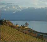 Der MOB Be 4/4 1007 (ex SNB/OJB  Bipperlisi ) als Regionalzug 2352 Montreux Les Avants Kurz nach der kleinen Haltestelle Le Ch�telard (VD).