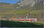 Aus dem schattigen Tal aufsteigend erreicht dieser TMR Region Alps RABe 525 kurz vor Sembrancher die herrliche Spätherbst-Sonne.