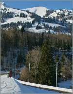 Gut getarnt zeigt sich der TPF Regionazug kurz nach Lessco auf der Fahrt nach Montbovon.