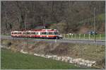 Ein Waldenburgerbahn Zug bestehend aus einem BDe 4/4 und zwei Bt bei Lampenberg-Ramlinsburg. Zur Zeit wird die 75 cm Spur Strecke auf Meterspur umgebaut. 

25. März 2021
