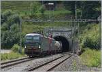 Die beiden 193 258 und 461 verlassen mit einem SBB Cargo International Güterzug auf dem Weg Richtung Basel bei Läufelfingen den 2495 Meter langen Hauensteintunnel.