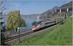 Der SBB ETR 610 009 ist als EC 45 von Genève nach Milano unterwegs und konnte kurz vor Villeneuve in der Frühlingsgrünen Landschaft am Genfer See fotografiert werden.