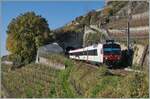 Der SBB RBDe 560 210  Domino  (RBDe 560 DO 94 85 7 210-7 CH-SBB) ist auf der Train de Vignes Strecke auf der Fahrt von Puidoux nach Vevey  und soeben den nur 20 Meter langen Salanfe Tunnel oberhalb von St-Saphorin verlassen.

15. November 2024