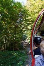 Am 01.10.2011 auf Bergfahrt mit der Heiz�l BRB 16 zum Brienzer Rothorn, zwischen Brienz und der Station Geldried, durch den Wald.