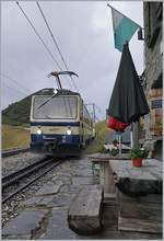 Und zum Nachtisch gibt's Bhm 4/8 - die Züge fahren erfreulich nah an den Tischen der Buvette Jaman vorbei...